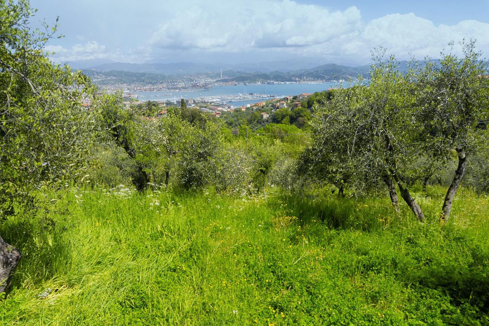 Ferienwohnung Gli Ulivi Sul Golfo E Le 5 Terre La Spezia Exterior foto
