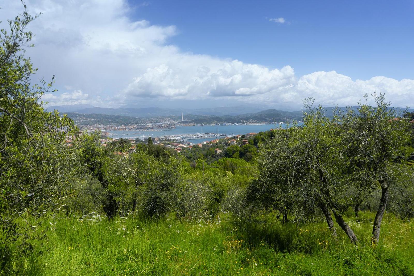 Ferienwohnung Gli Ulivi Sul Golfo E Le 5 Terre La Spezia Exterior foto