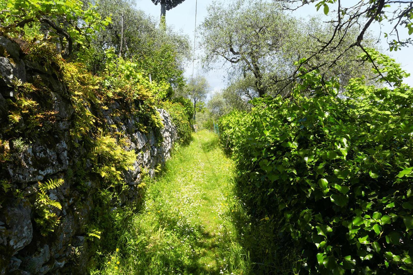 Ferienwohnung Gli Ulivi Sul Golfo E Le 5 Terre La Spezia Exterior foto