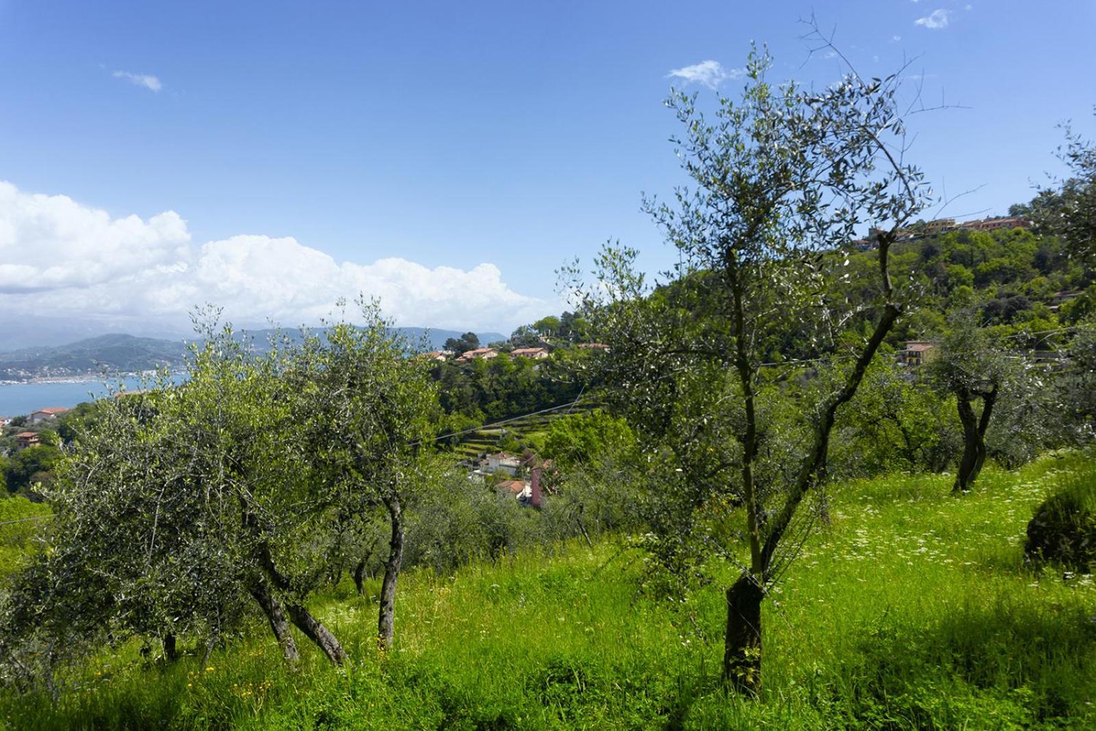 Ferienwohnung Gli Ulivi Sul Golfo E Le 5 Terre La Spezia Exterior foto