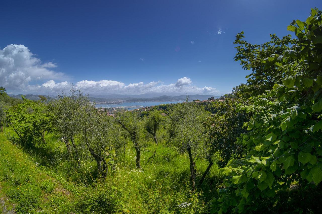 Ferienwohnung Gli Ulivi Sul Golfo E Le 5 Terre La Spezia Exterior foto